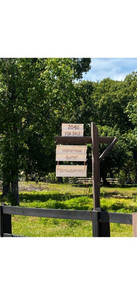 Strawberry Season Amish strawberry sign